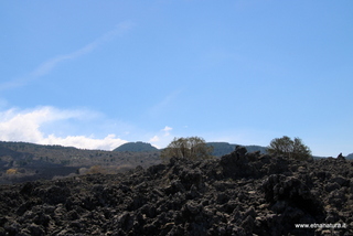nte Egitto-29-04-2023 10-04-02